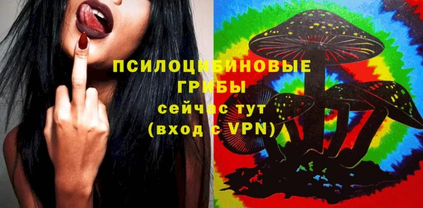 PSILOCYBIN Заволжск