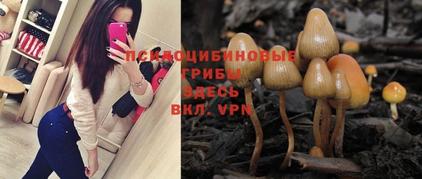 СК Алексеевка
