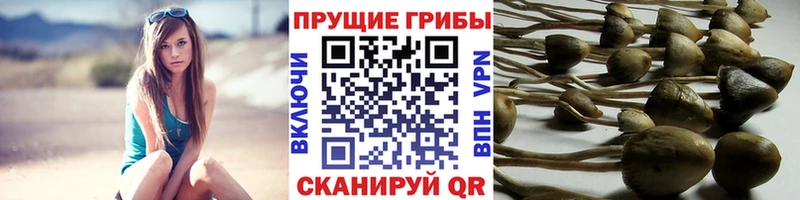 Псилоцибиновые грибы MAGIC MUSHROOMS  Учалы 