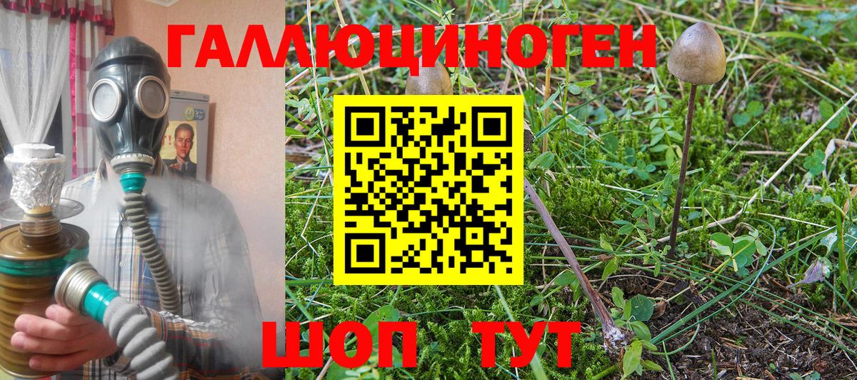 Псилоцибиновые грибы Psilocybine cubensis Учалы